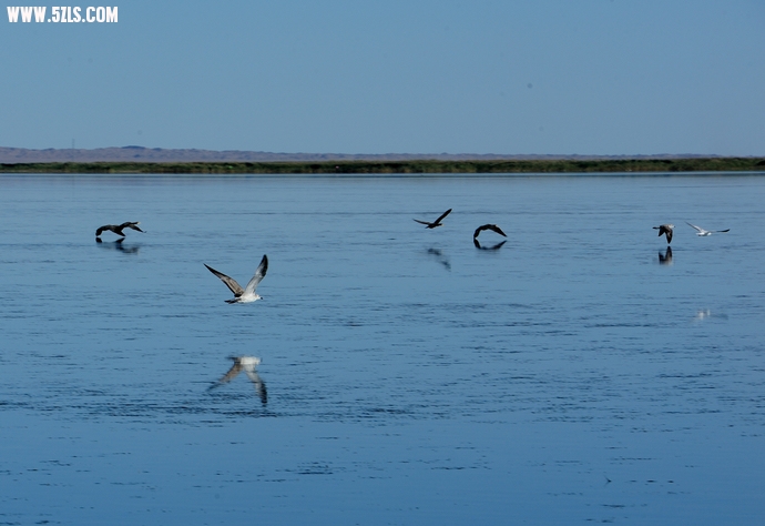 DSC_8600.jpg