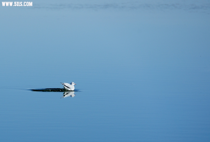 DSC_8607.jpg