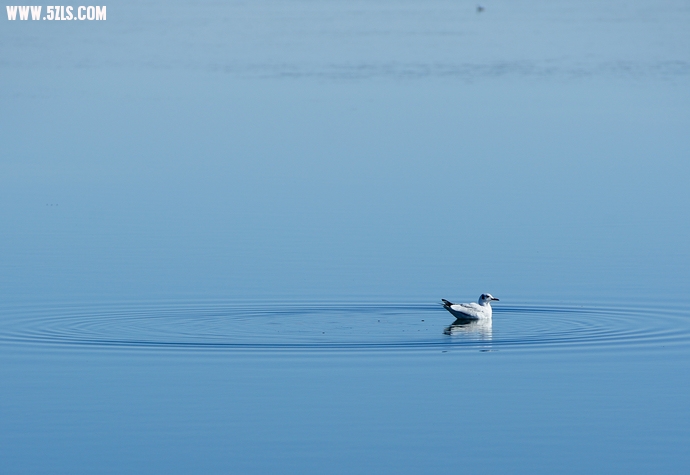 DSC_8608.jpg
