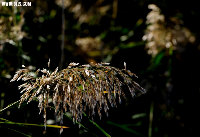 DSC_8646.jpg