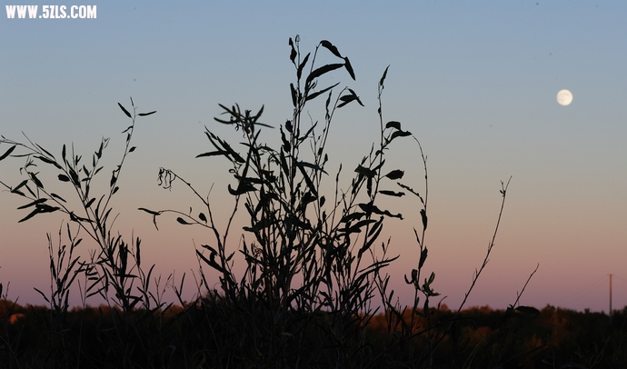 DSC_8743.jpg
