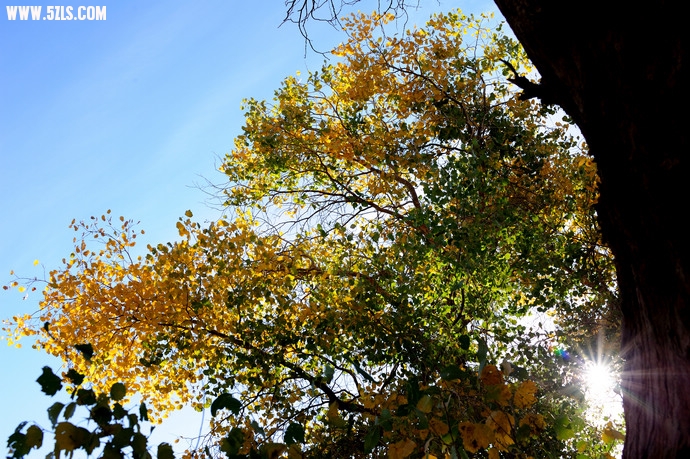 DSC_8781.jpg