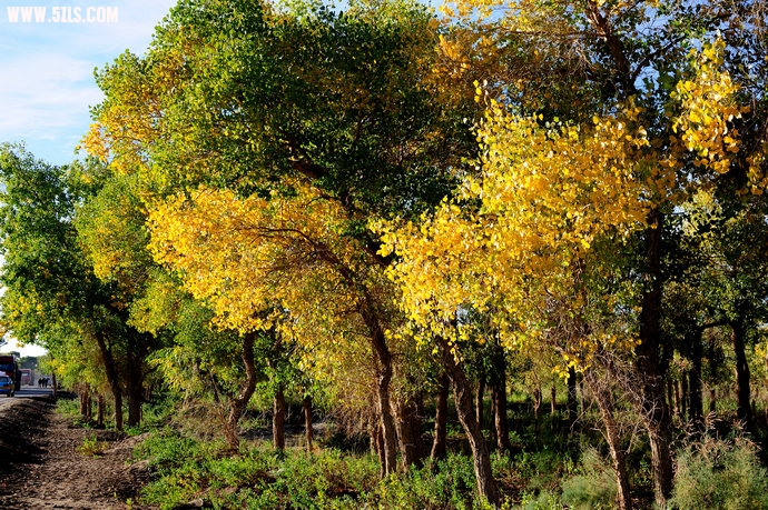 DSC_8797.jpg