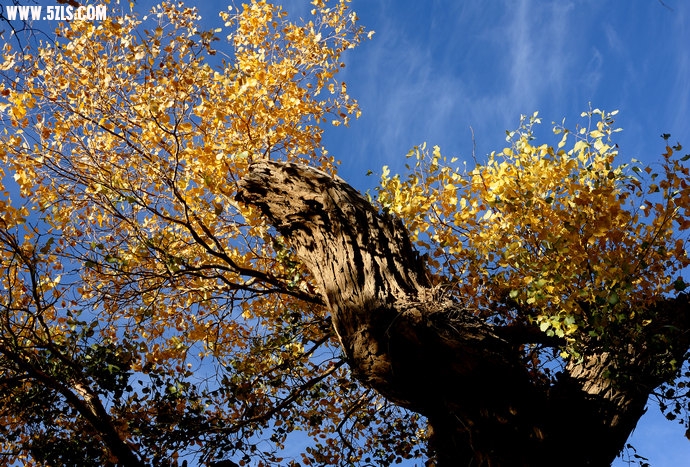 DSC_8806.jpg
