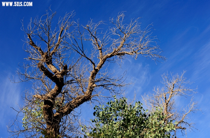 DSC_8825.jpg