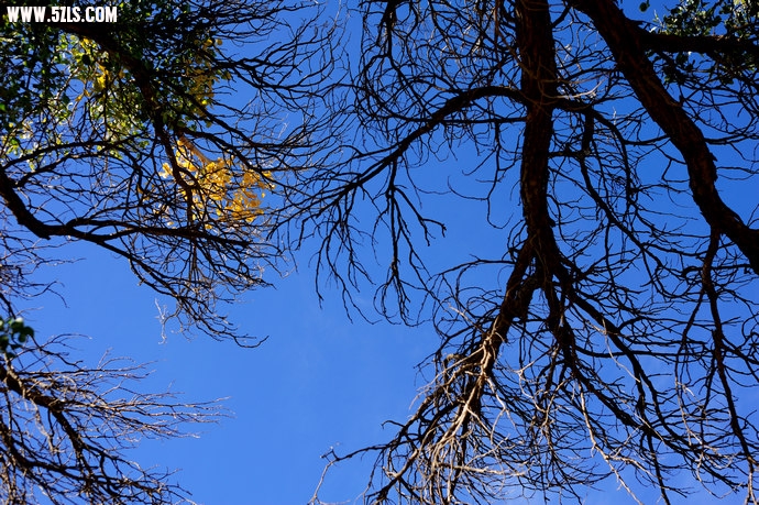 DSC_8862.jpg