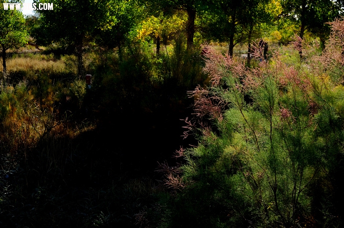 DSC_8872.jpg