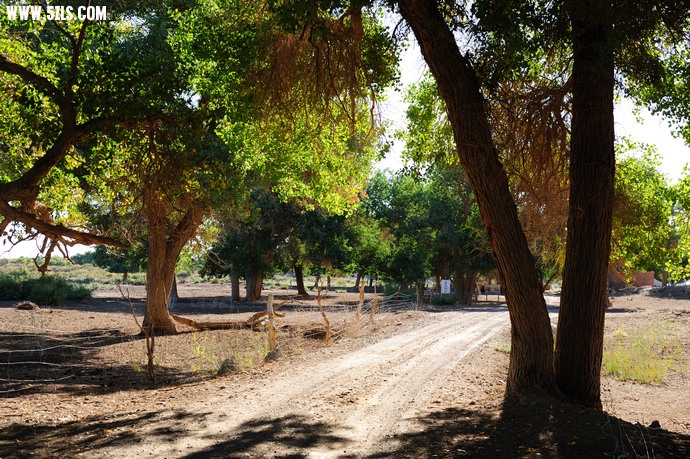 DSC_8891.jpg