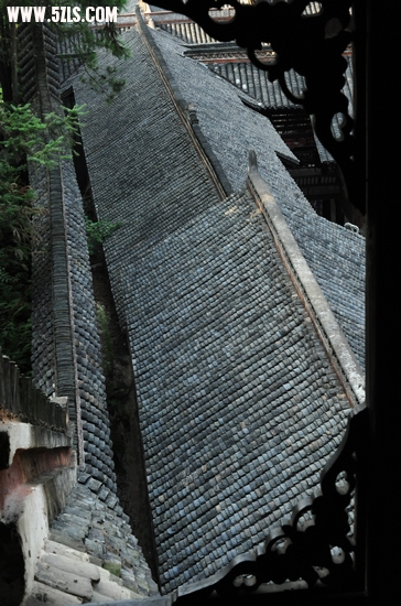 DSC_8407.jpg