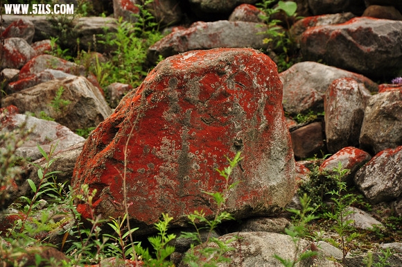 File0185.jpg