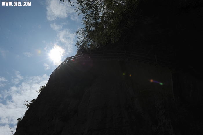 DSC_8902.jpg