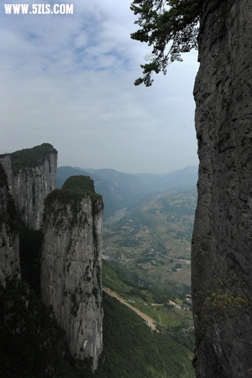DSC_8940.jpg