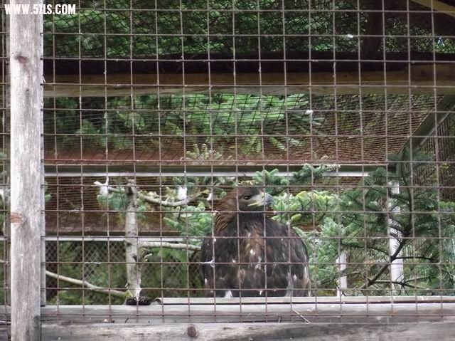 С DSCF0051.JPG