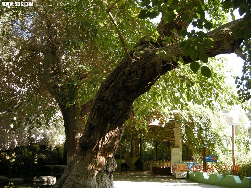 DSCN4671.JPG