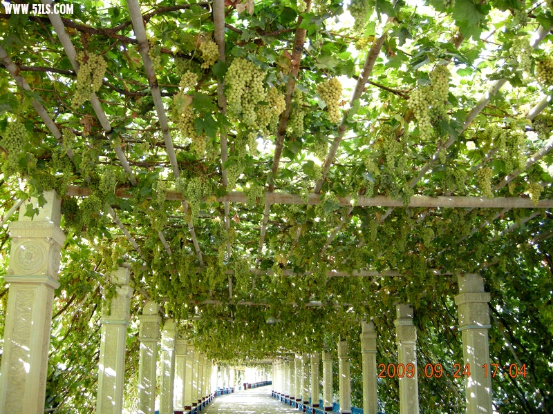 DSCN4669.JPG