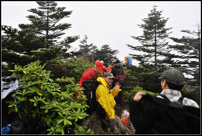 nEO_IMG__DSC0629.jpg