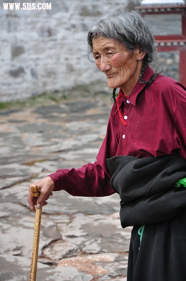 DSC_0877.jpg