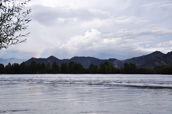 DSC_0717.jpg