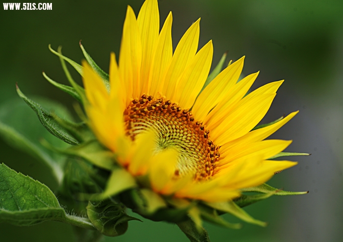 Ƭ 028.jpg
