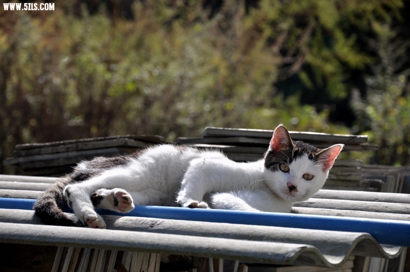 DSC_0042.jpg