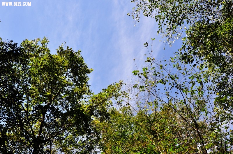 DSC_0085.jpg