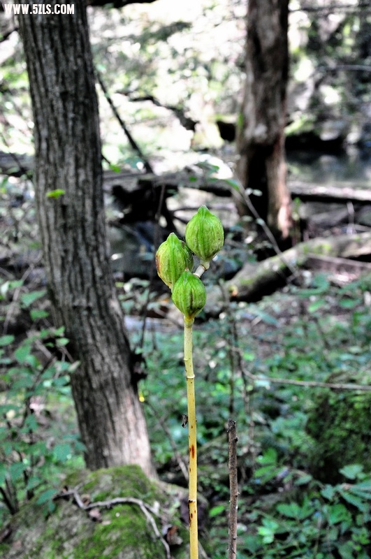 DSC_0098.jpg