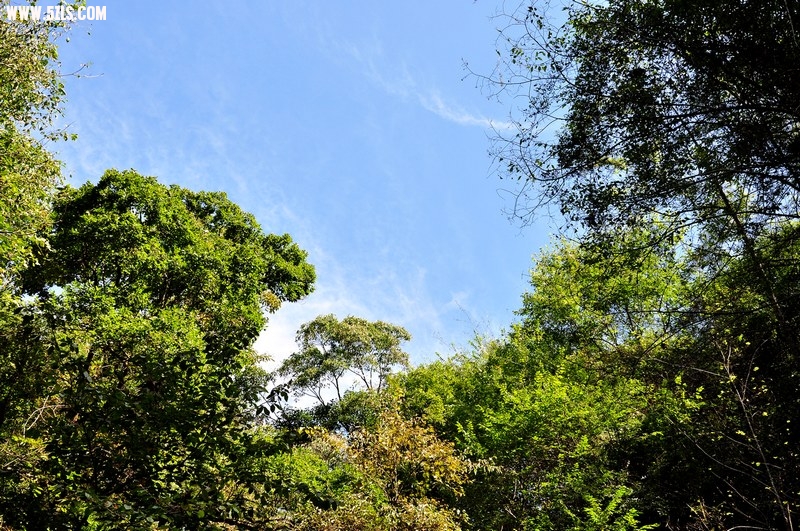 DSC_0093.jpg