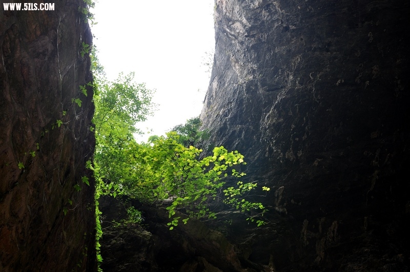 DSC_0423.jpg