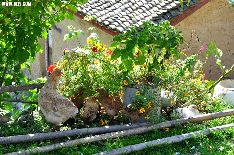 DSC_0122.jpg