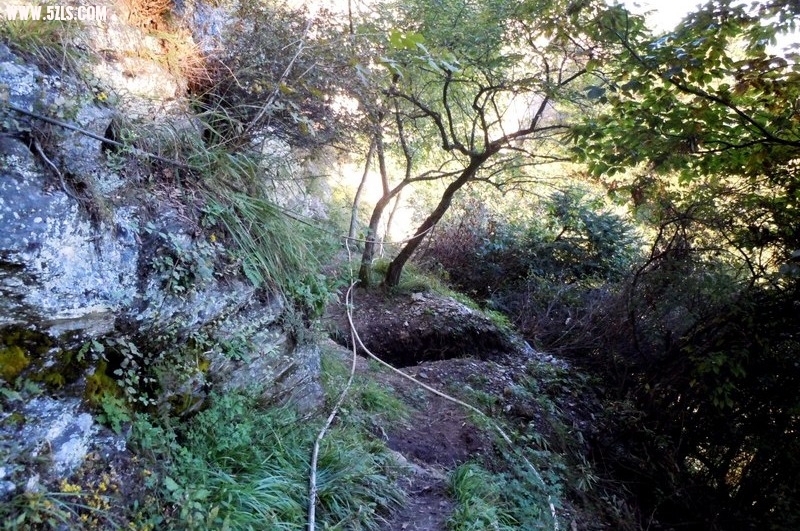 DSCN1024.jpg