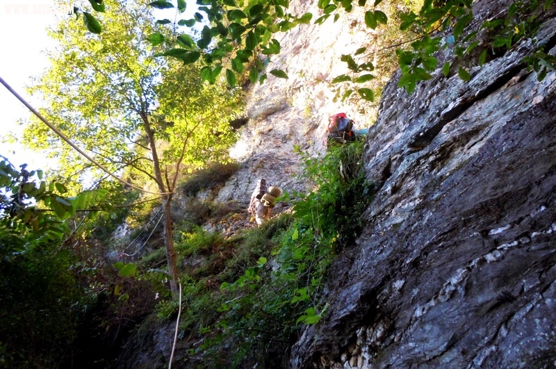 DSCN1019.jpg