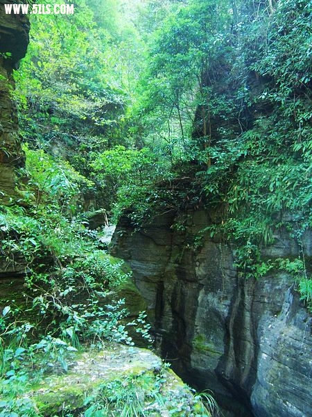 100_6700.JPG