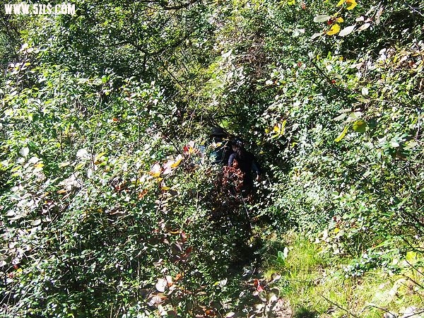 100_6717.JPG