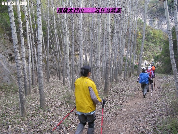 nEO_IMG_IMG_0584.jpg
