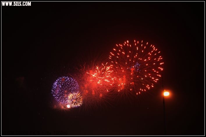 DSC_1828.jpg