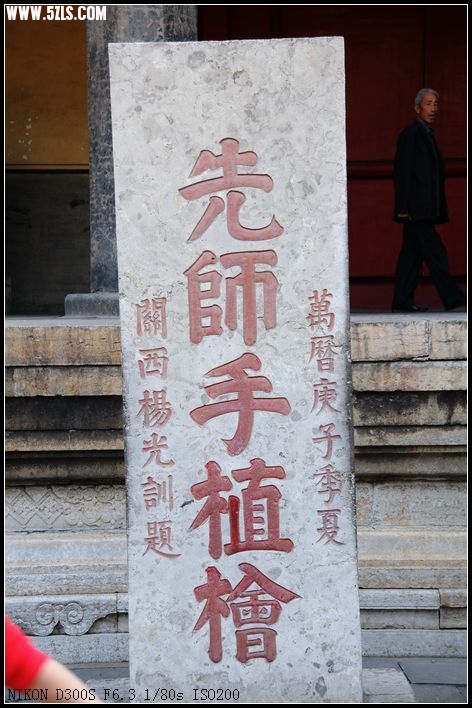 DSC_2235.jpg