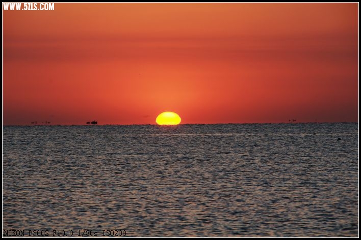 DSC_2346.jpg