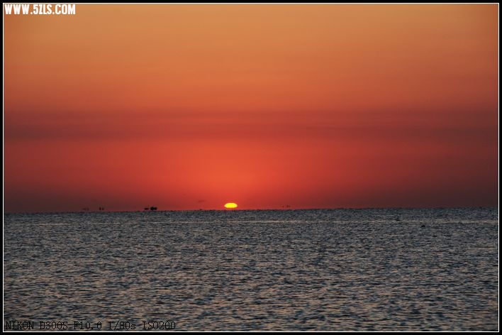 DSC_2343.jpg