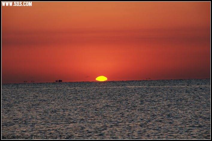 DSC_2345.jpg