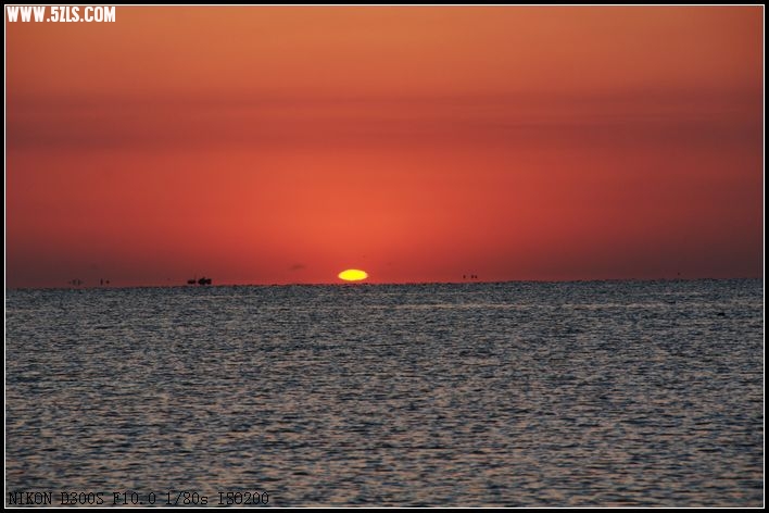 DSC_2344.jpg