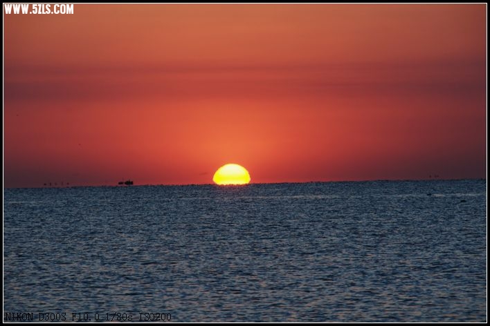 DSC_2348.jpg