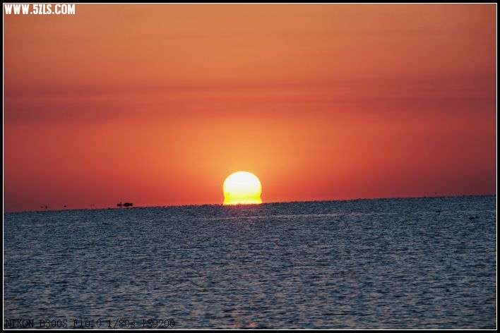 DSC_2355.jpg