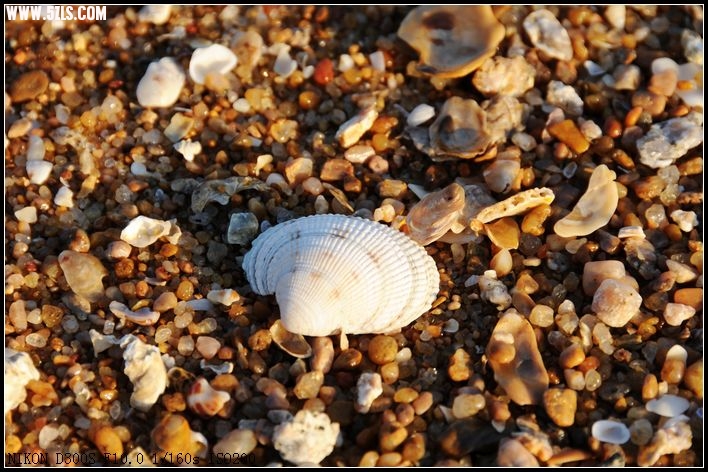 DSC_2509.jpg