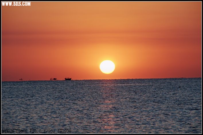 DSC_2377.jpg