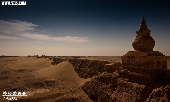 _MG_7440.jpg