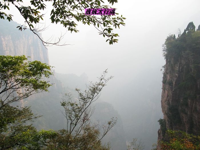 nEO_IMG_IMG_0688.jpg