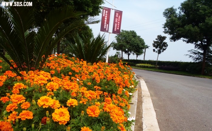 PA150222.jpg
