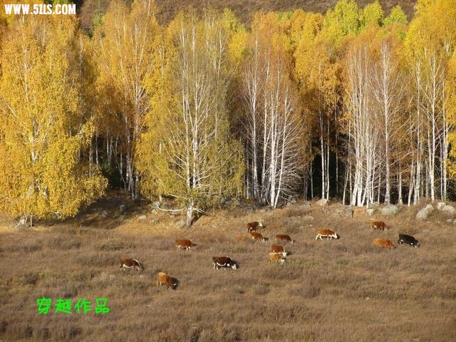 С IMG_6903__.jpg