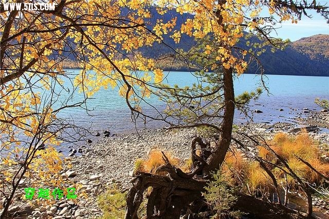 С IMG_4313__.jpg