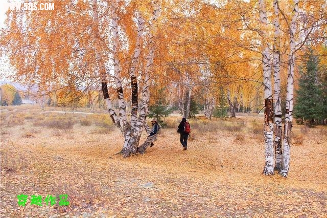 С IMG_2451__.jpg